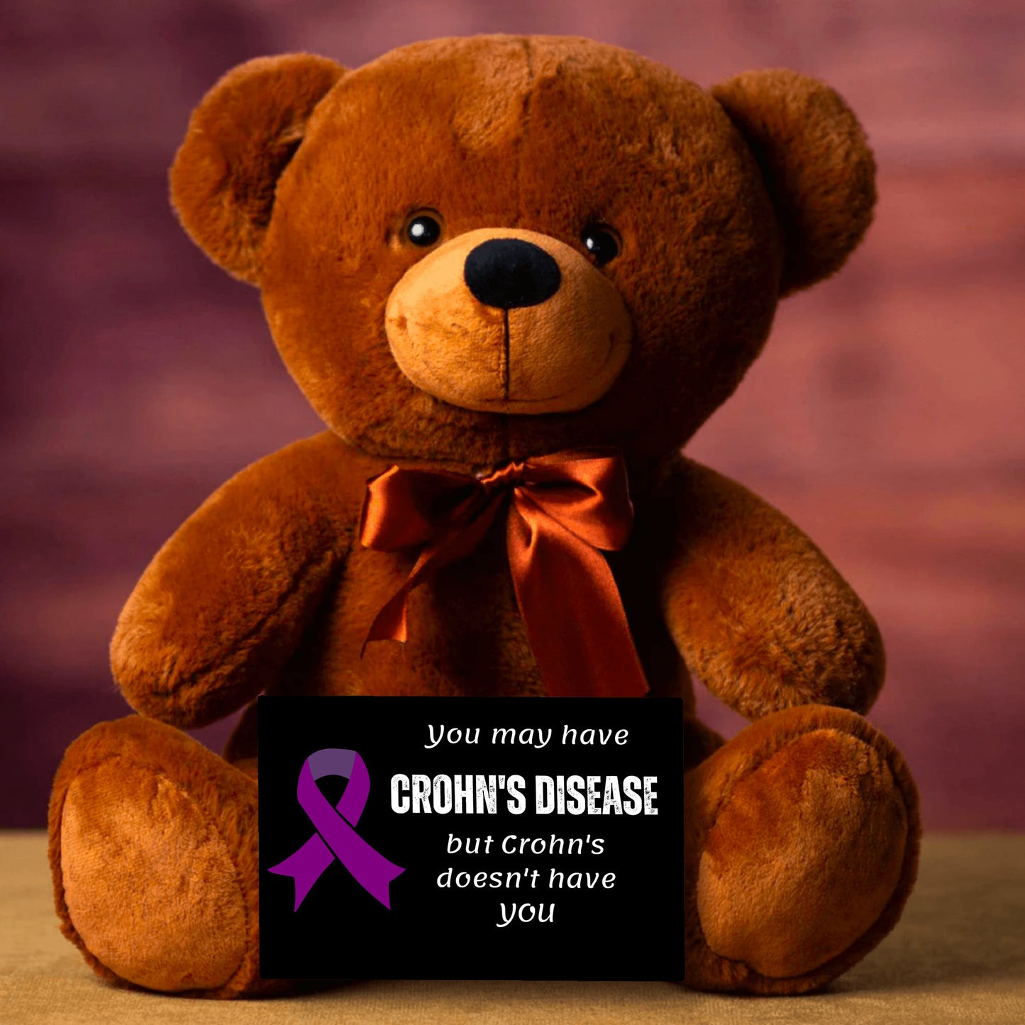 You May Have Crohn's Disease Teddy Bear and Sign