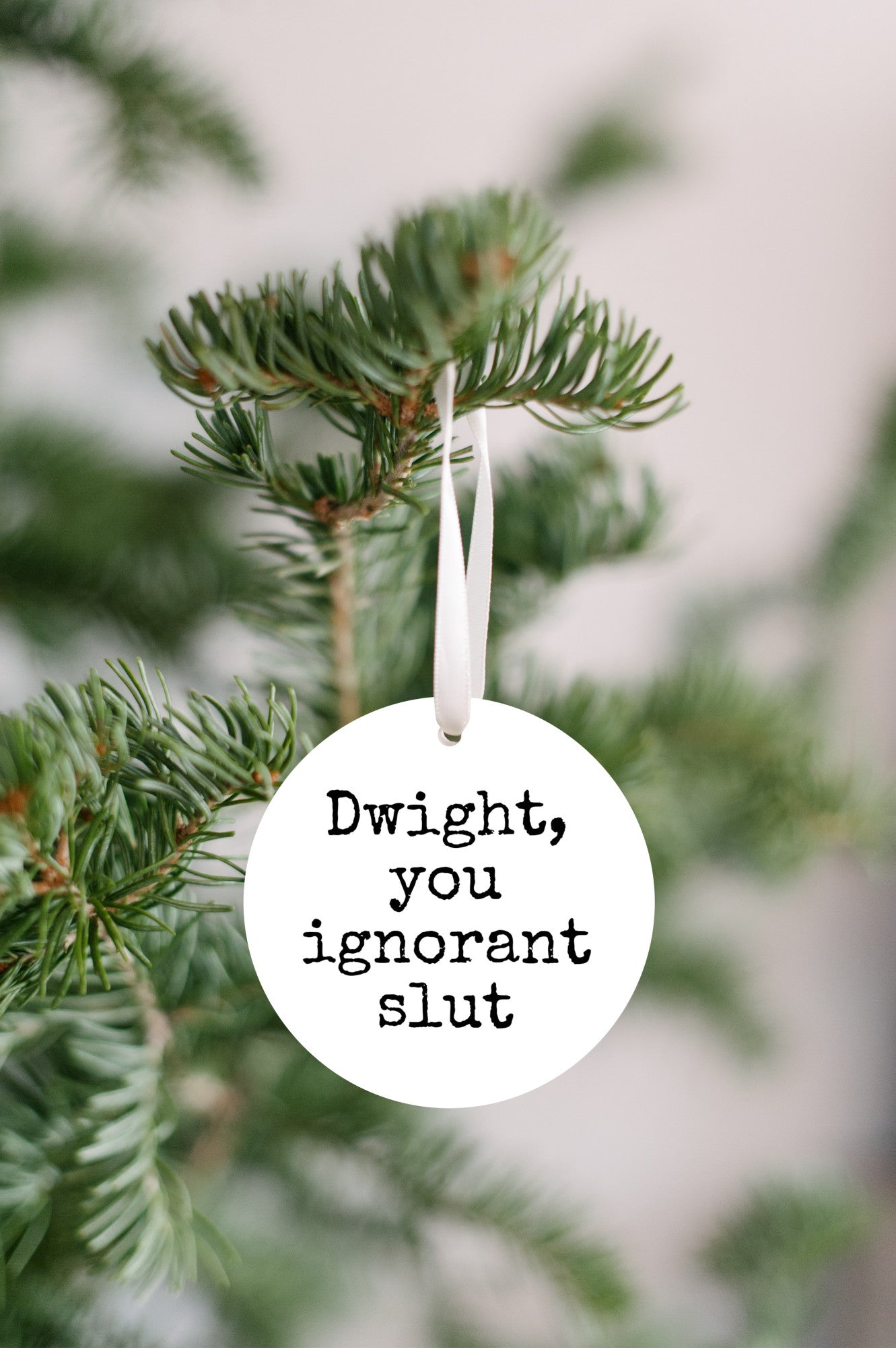 Funny Office-Inspired Christmas Ornament - 'Dwight, You Ignorant Slut' Quote Gift