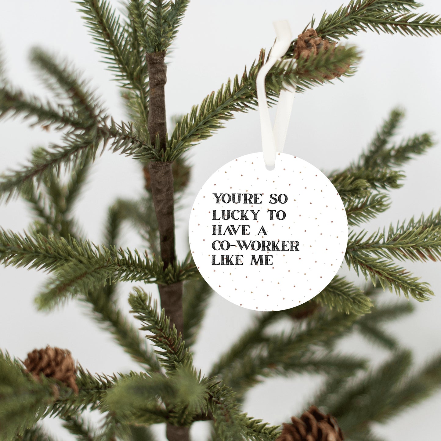 Funny Coworker Gift • Small Round Christmas Ornament • “You’re So Lucky to Have a Coworker Like Me” • Office Holiday Gift • Secret Santa Present